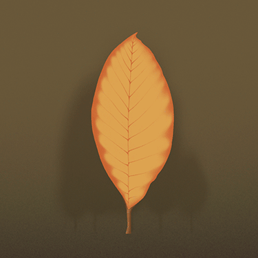 Animación de carga Mr. Legaz